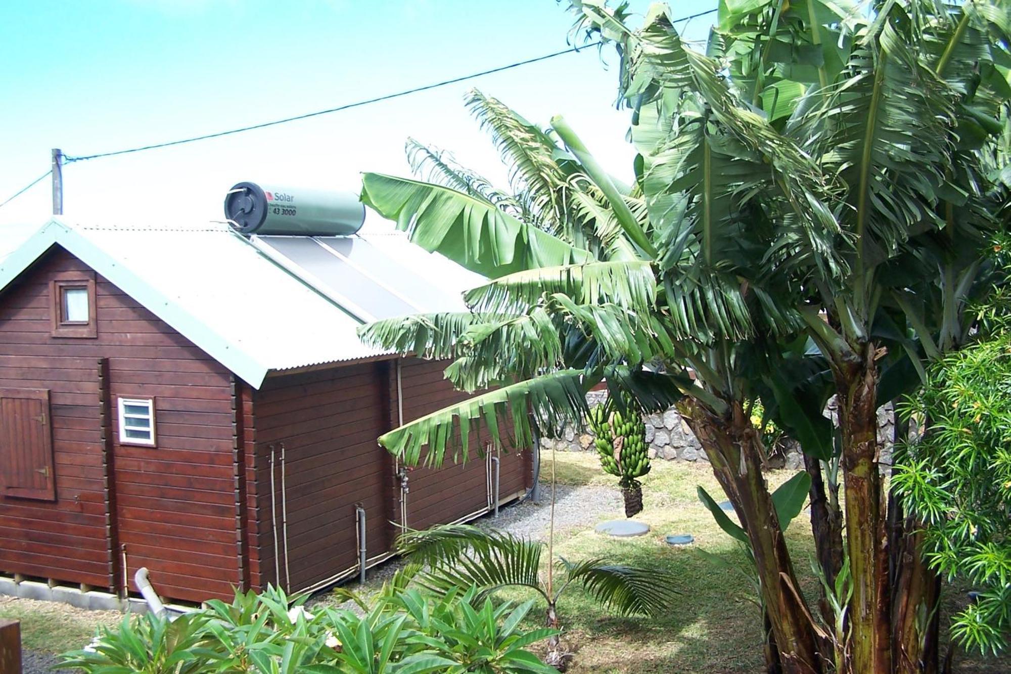 Les Bungalows Les Vanilliers, Sud Sauvage Avec Piscine Saint-Joseph Zimmer foto